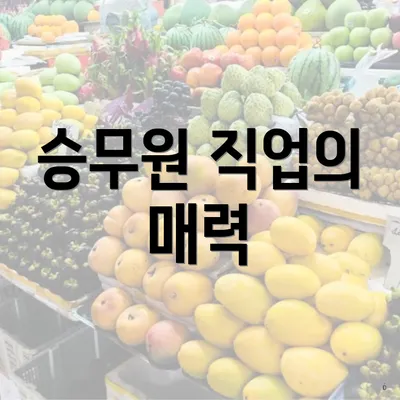 승무원 직업의 매력