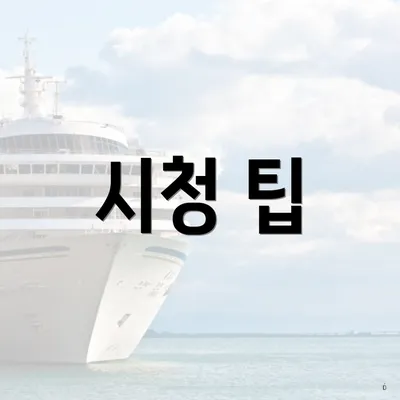 시청 팁
