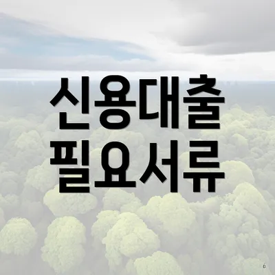 신용대출 필요서류