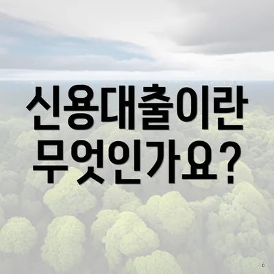 신용대출이란 무엇인가요?