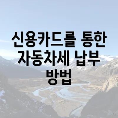신용카드를 통한 자동차세 납부 방법