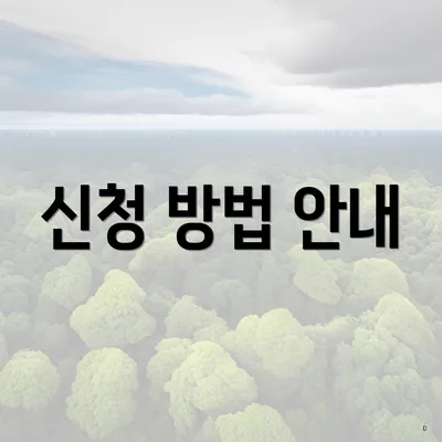 신청 방법 안내