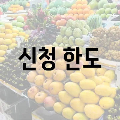 신청 한도