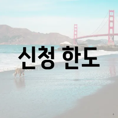 신청 한도