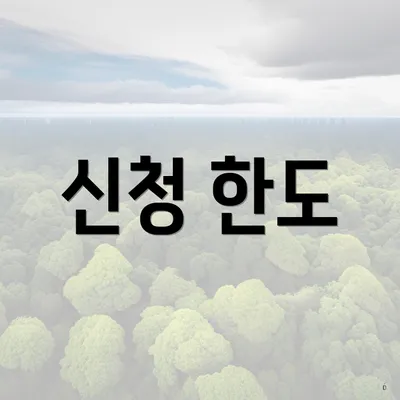 신청 한도