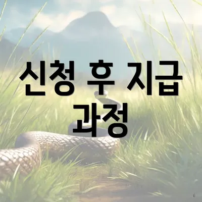 신청 후 지급 과정