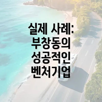 실제 사례: 부창동의 성공적인 벤처기업