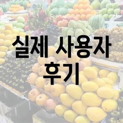 실제 사용자 후기