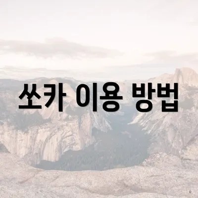 쏘카 이용 방법