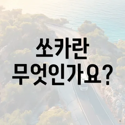 쏘카란 무엇인가요?