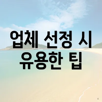 업체 선정 시 유용한 팁