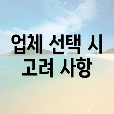 업체 선택 시 고려 사항