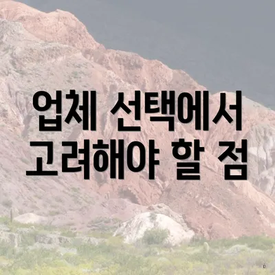 업체 선택에서 고려해야 할 점