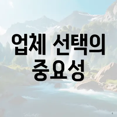 업체 선택의 중요성