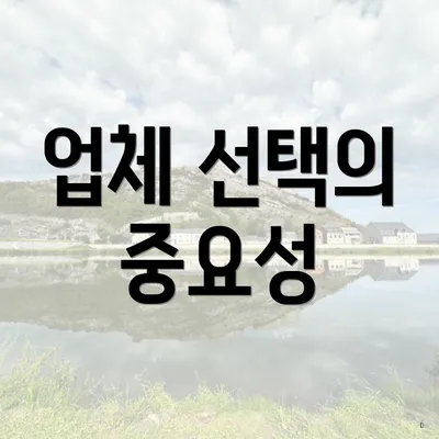 업체 선택의 중요성