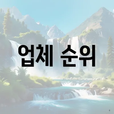 업체 순위
