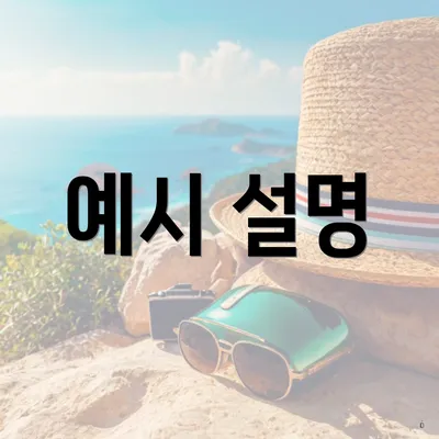 예시 설명