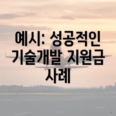 예시: 성공적인 기술개발 지원금 사례