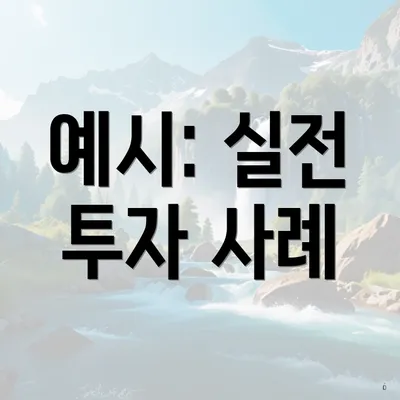 예시: 실전 투자 사례