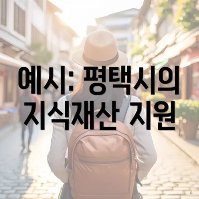 예시: 평택시의 지식재산 지원
