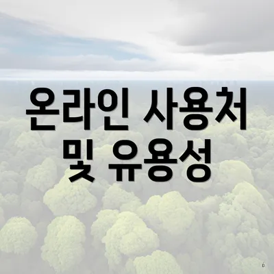온라인 사용처 및 유용성