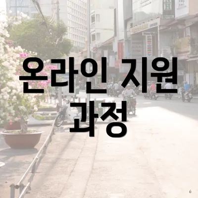 온라인 지원 과정