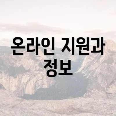 온라인 지원과 정보