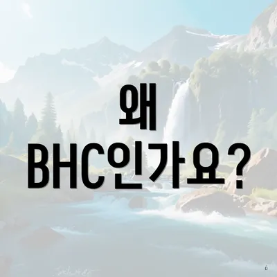 왜 BHC인가요?