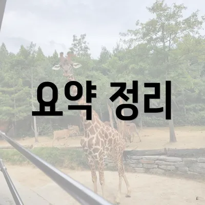 요약 정리