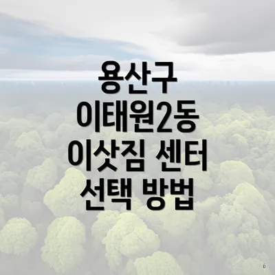 용산구 이태원2동 이삿짐 센터 선택 방법