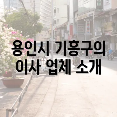 용인시 기흥구의 이사 업체 소개