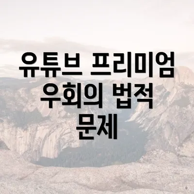 유튜브 프리미엄 우회의 법적 문제