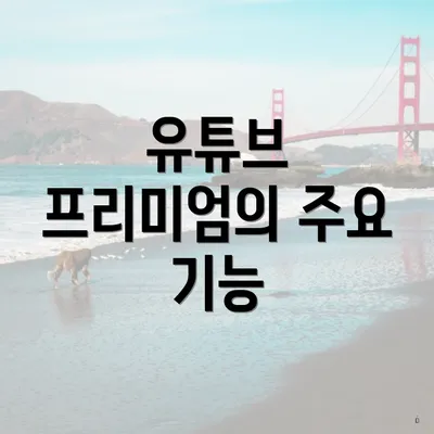 유튜브 프리미엄의 주요 기능