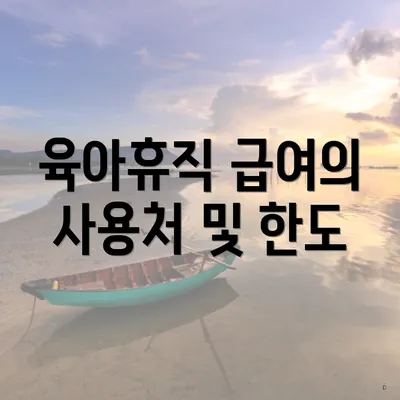 육아휴직 급여의 사용처 및 한도