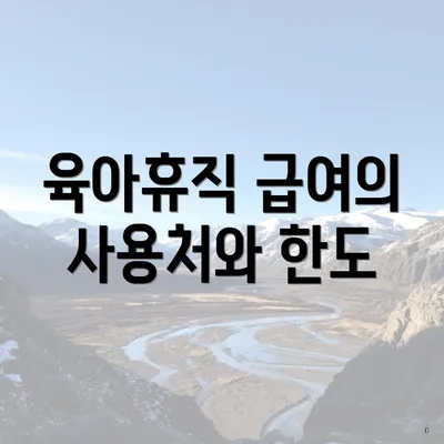 육아휴직 급여의 사용처와 한도