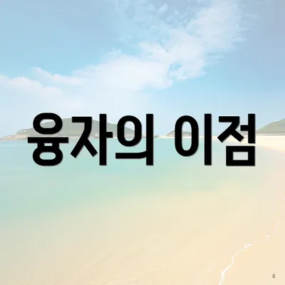 융자의 이점