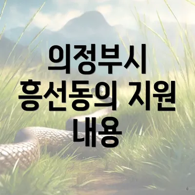 의정부시 흥선동의 지원 내용