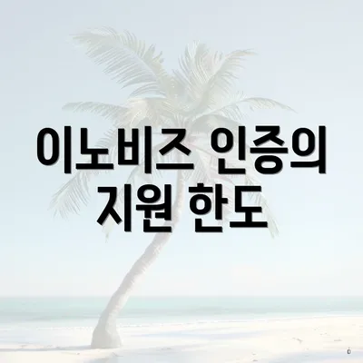 이노비즈 인증의 지원 한도
