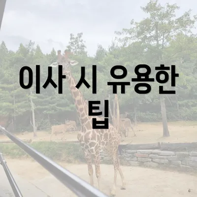 이사 시 유용한 팁