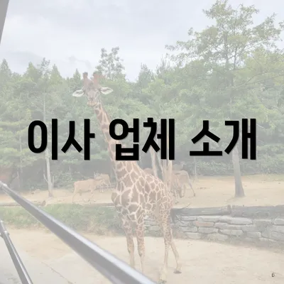 이사 업체 소개