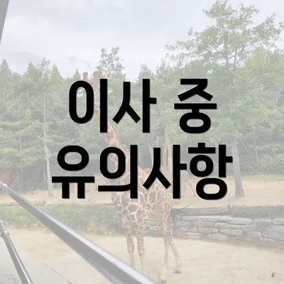 이사 중 유의사항