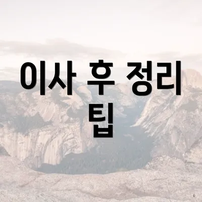 이사 후 정리 팁