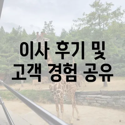 이사 후기 및 고객 경험 공유