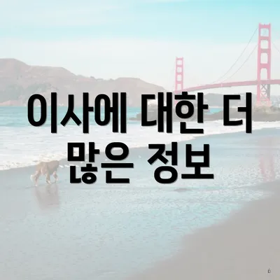 이사에 대한 더 많은 정보