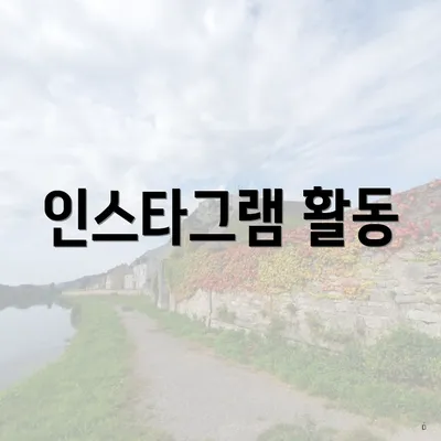 인스타그램 활동