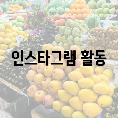 인스타그램 활동