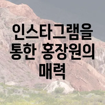 인스타그램을 통한 홍장원의 매력