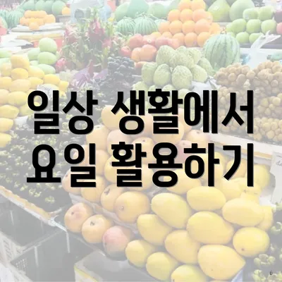 일상 생활에서 요일 활용하기