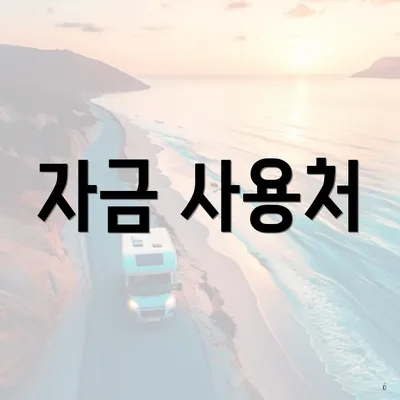 자금 사용처