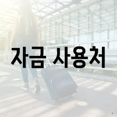 자금 사용처